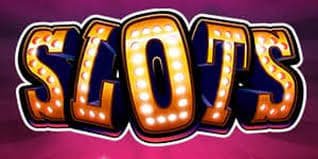 365cuc